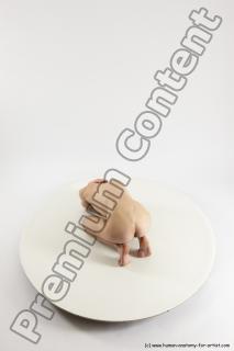 Human Anatomy poses - Alexej